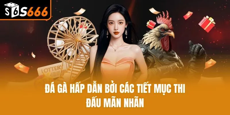 Đá gà hấp dẫn bởi các tiết mục thi đấu mãn nhãn