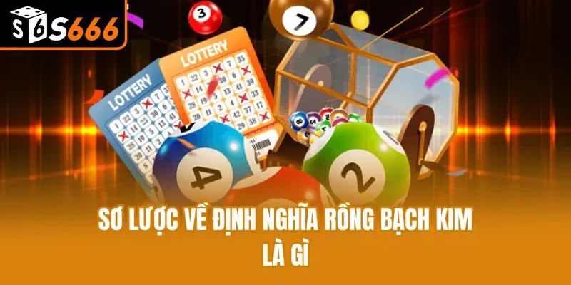 Rồng Bạch Kim Là Gì? Lý Do Nhiều Lô Thủ Tin Tưởng Lựa Chọn Sơ lược về định nghĩa rồng bạch kim là gì